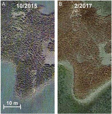 Unoccupied Aircraft Systems (UAS) for Marine <mark class="highlighted">Ecosystem Restoration</mark>